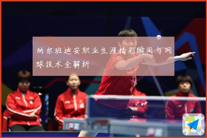 纳尔班迪安职业生涯精彩瞬间与网球技术全解析