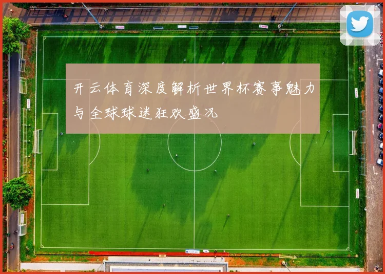 开云体育深度解析世界杯赛事魅力与全球球迷狂欢盛况