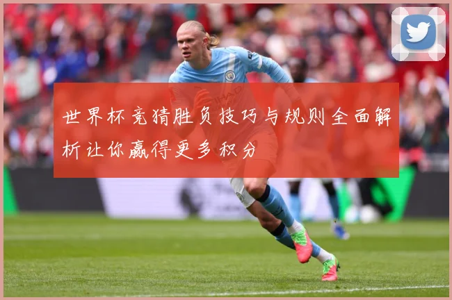 世界杯竞猜胜负技巧与规则全面解析让你赢得更多积分