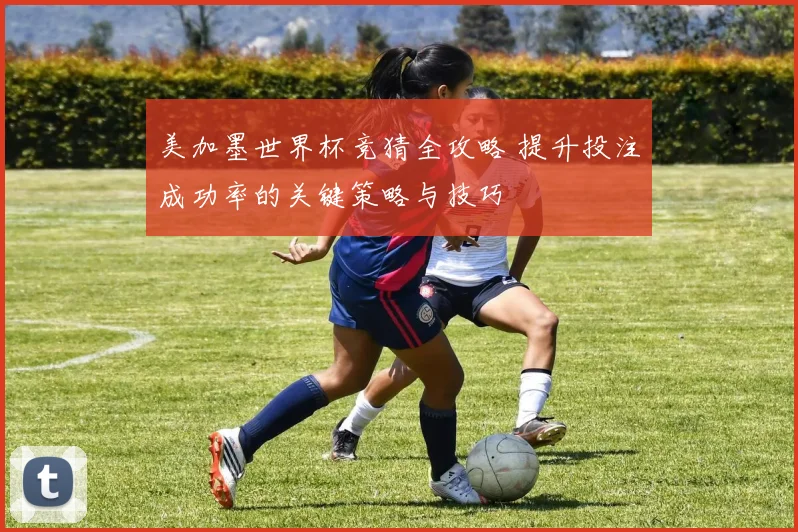 美加墨世界杯竞猜全攻略 提升投注成功率的关键策略与技巧